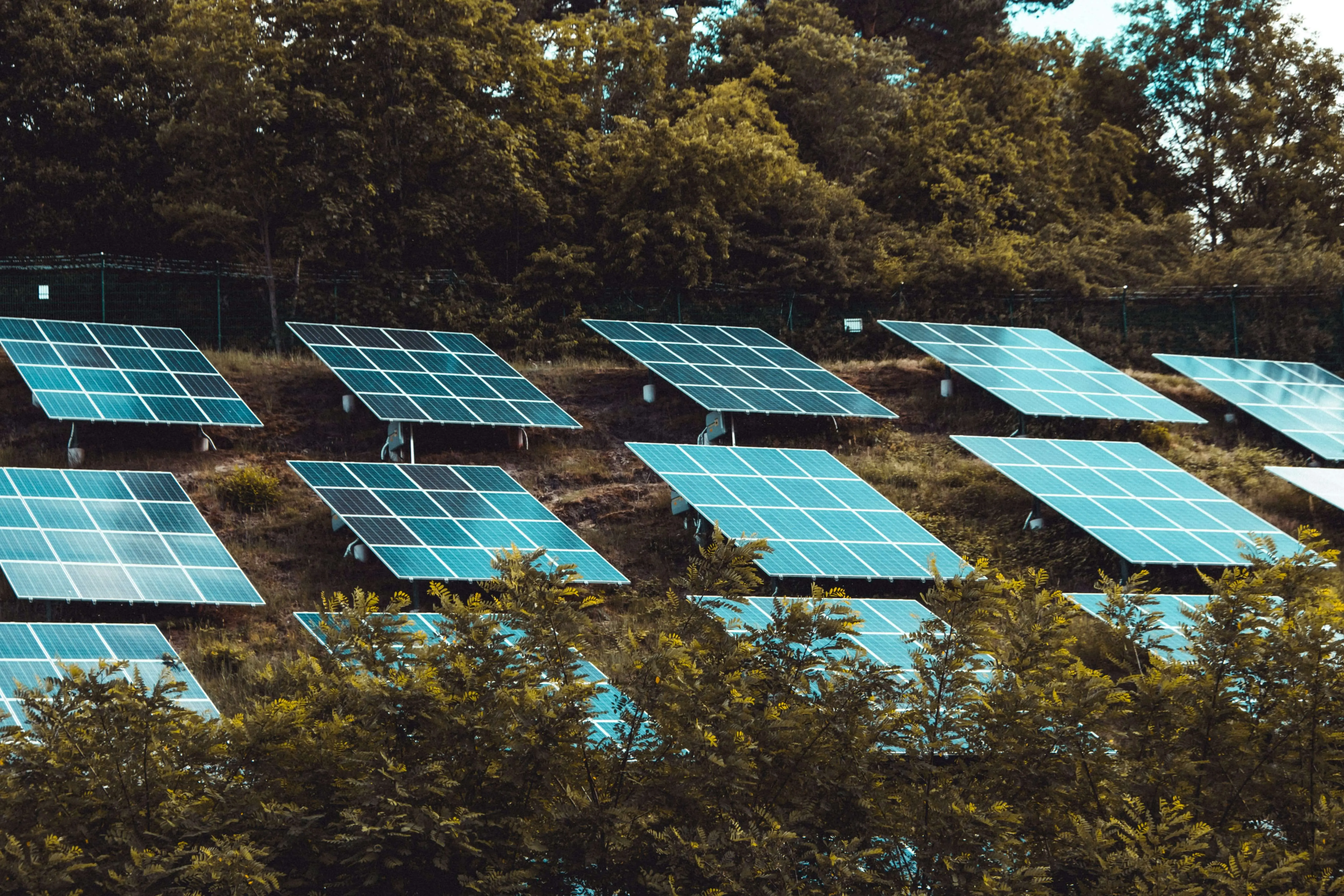 Beginner’s Guide to Solar Panels: How They Work